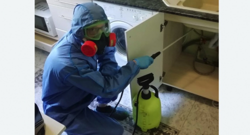 Уничтожение муравьев в квартире. Красноуфимск