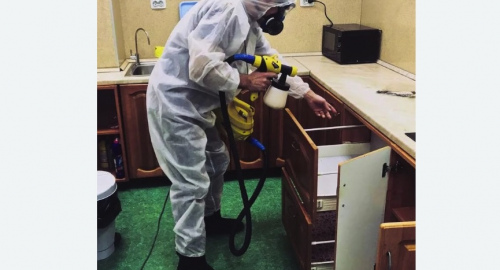 Дезинсекция квартиры. Красноуфимск