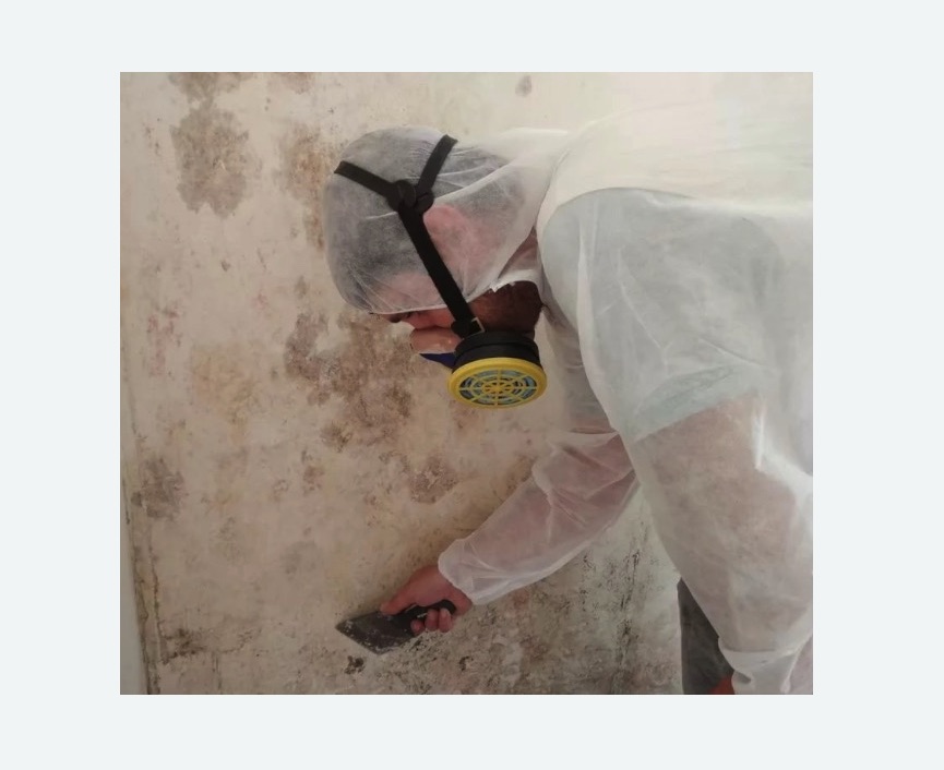Обработка стен от плесени в Красноуфимске