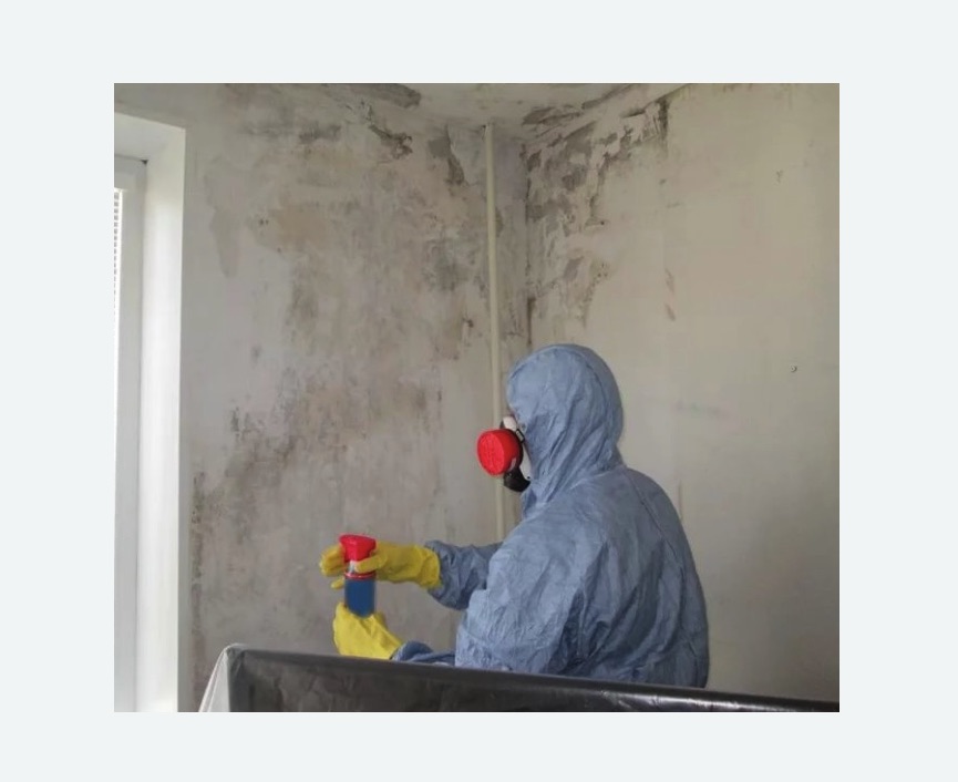 Удаление плесени в квартире в Красноуфимске