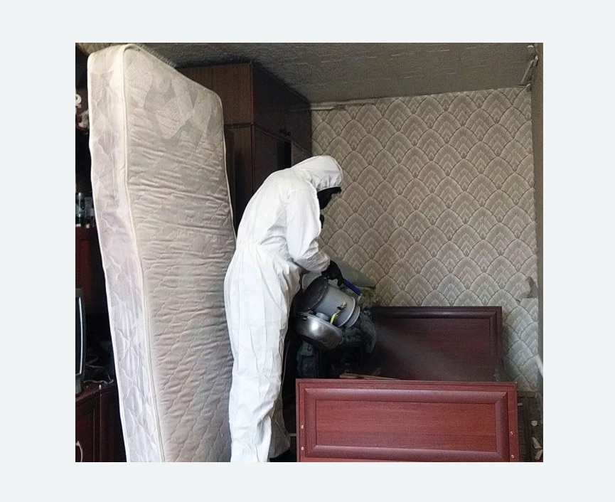 дезинфекция от клопов дезинфекция от клопов в Красноуфимске