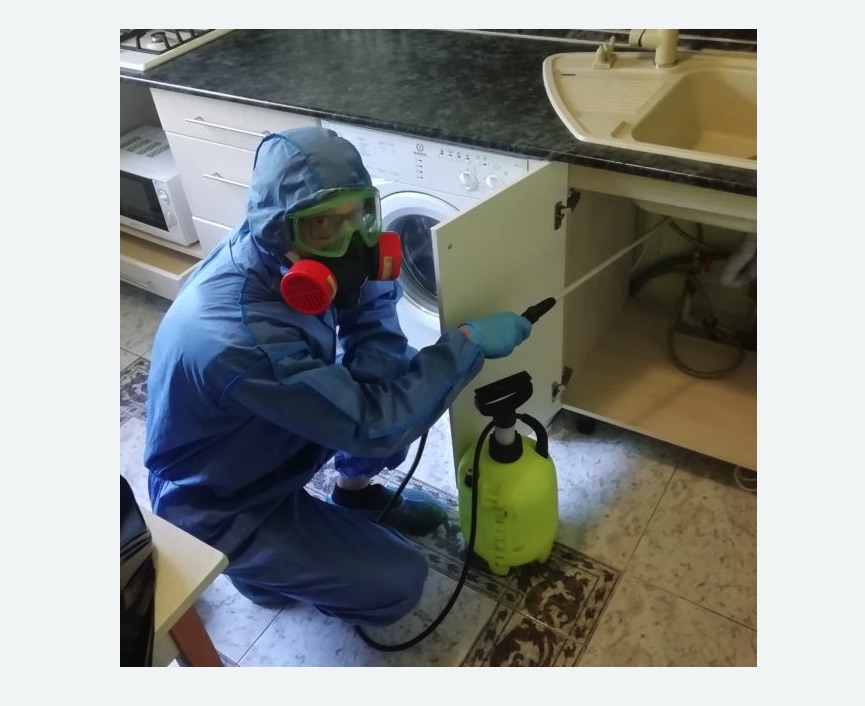 обработка от муравьев в квартире в Красноуфимске