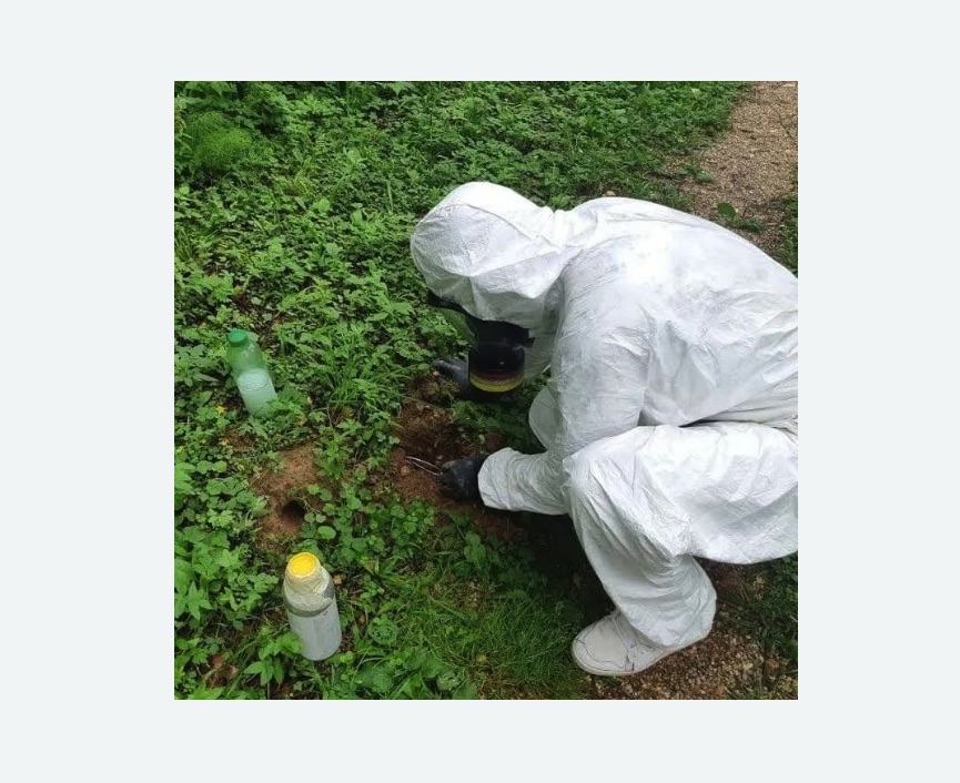 уничтожение кротов на участке в Красноуфимске